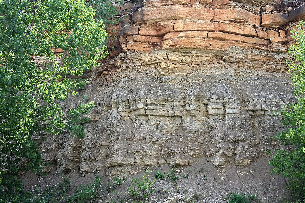 Decorah Shale